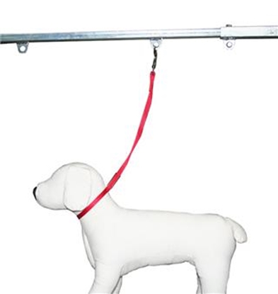 Picture of GROOM PROFESSIONAL BASIC GROOMING NOOSE